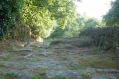 P1190024