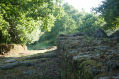P1190025