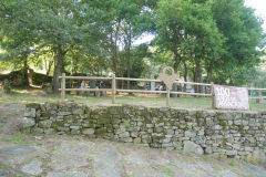 P1190026