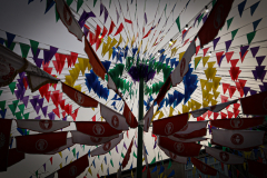 VESTAIS_2025_XINZ9419